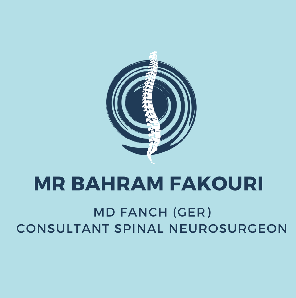 Mr Bahram Fakouri